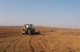 Rayonda  payızlıq taxıl əkini sahələri 37 min 850 hektarı keçib
